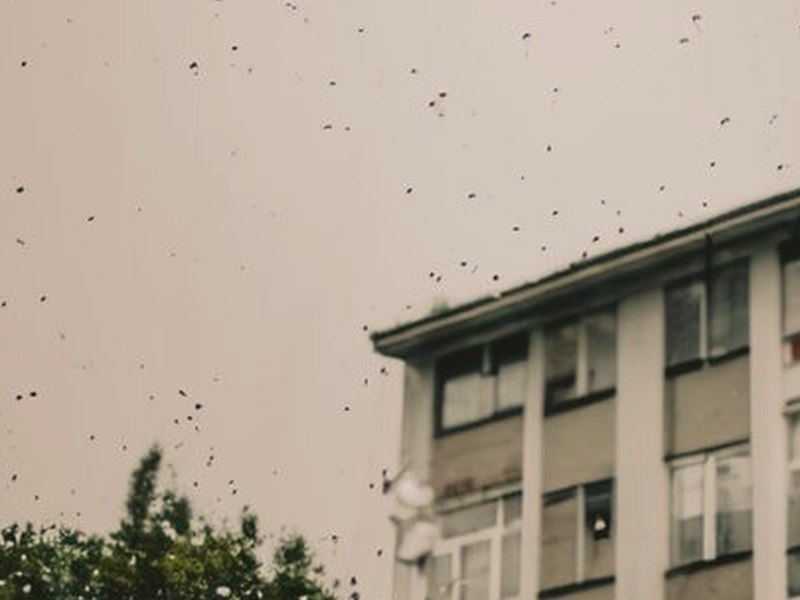 超能刑警